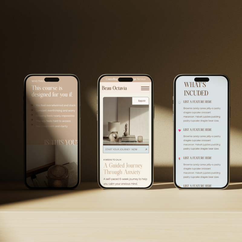Beau Sales Page Website Template - Image 3